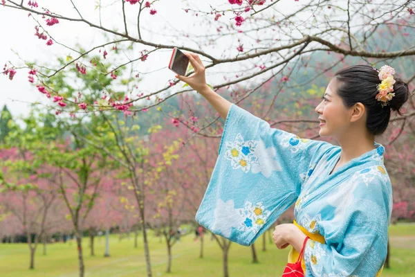 Asyalı kadın altında kiraz ağacı ve bununla bir selfie almak için ellerini yukarı kaldır. Memleketi arkadaşlarıyla paylaşmak canlı video yapıyor.