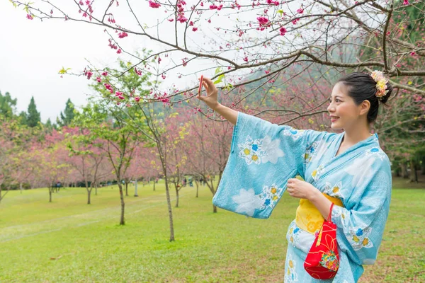 Aziatische Vrouw Permanent Onder Cherry Tree Haar Handen Nemen Van — Stockfoto
