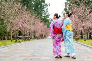 Birlikte elele ve yollar yanında kiraz çiçeği görmek iki Asyalı kadın ziyaretçiler.