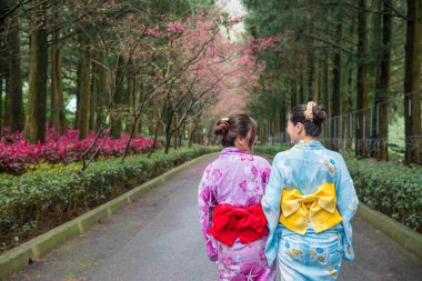 Kiraz çiçeği ağacının altında kısa bir yürüyüş alarak iki Asyalı kadın turist. Onlar yan yana durmak ve birlikte bakıyoruz.