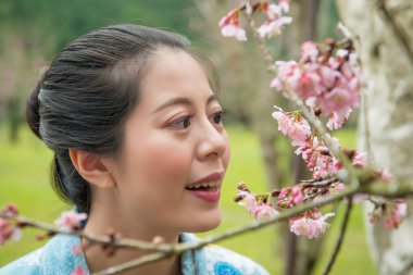 Asyalı kadın dikkatle kiraz çiçeği ağacının ayrıntı gözlemlemek isteyen.