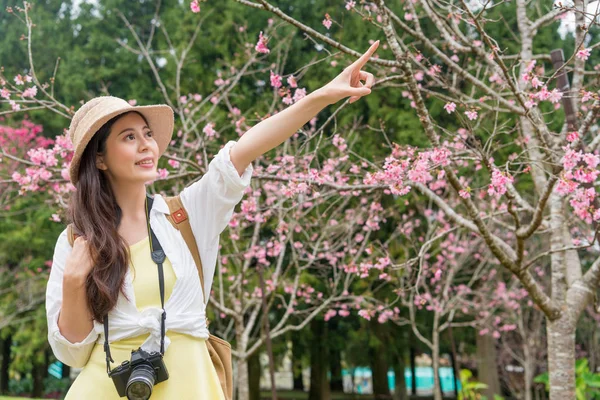 Asyalı Genç kız kiraz ağacı altında duran ve parmak açık için işaret. O dişlek bir gülümseme ve bir kamera taşıma vardır.