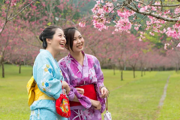 Δύο Ασίας Νεαρές Κυρίες Στέκεται Δίπλα Από Την Κερασιά Και — Φωτογραφία Αρχείου