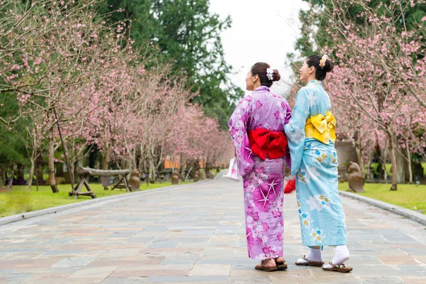 Birlikte elele ve yollar yanında kiraz çiçeği görmek iki Asyalı kadın ziyaretçiler.