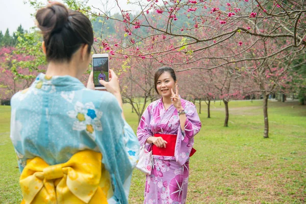 Asiáticas Jóvenes Damas Ayudan Mutuamente Tomar Fotos Bajo Los Árboles —  Fotos de Stock