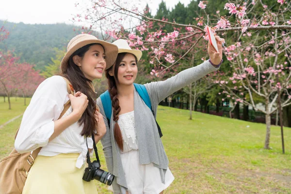 Duas Mulheres Asiáticas Tomando Selfie Juntos Sob Árvores Flor Cerejeira — Fotografia de Stock