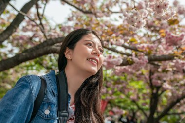 sakura ile büyüleyici bir yukarı doğru görünümü ziyaret ve bir yerde gezi kadın çiçek.