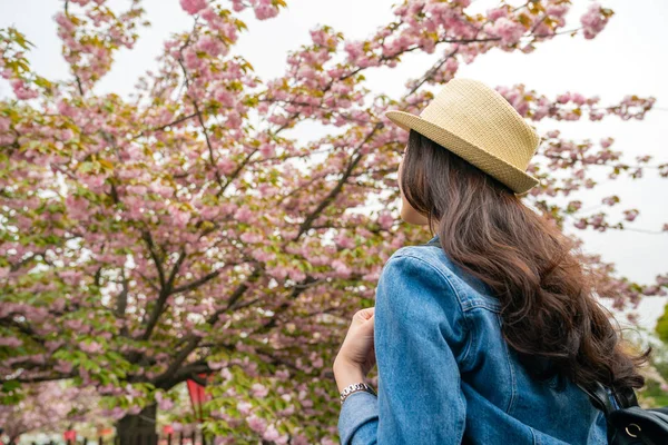 长头发妇女站立在绽放樱桃前面和欣赏美丽的场面以后面看法 — 图库照片