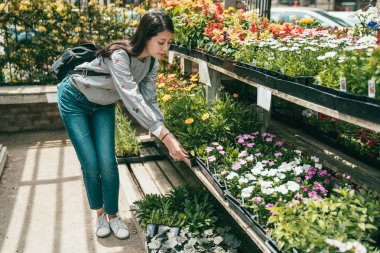 Bükme ve küçük ve güzel bir kasaba çiçekçi çiçek seçerek genç güzel bir kadın.