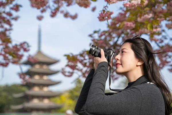 Closeup Photo Confident Female Photographer Taking Picture Sakura Japanese Temple — Stock Photo, Image