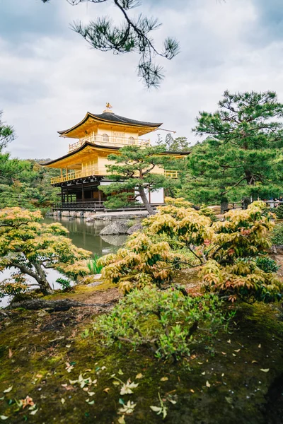 Kinkakuji Japanese Temple Standing Pond Trees Grasses Famous Landmark Historical — Stock Photo, Image