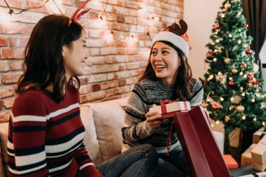 Noel Baba şapkası kızla başka bir kız kırmızı kazaklı bir hediye aldım. Noel hediyeleri evde alışverişi genç arkadaşlarım. renkli xmas ağacı ayakta içinde belgili tanımlık geçmiş.