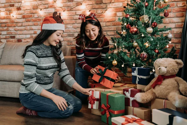 Adolescent Joyeux Décoré Maison Préparé Pour Veille Noël Jeunes Sœurs — Photo