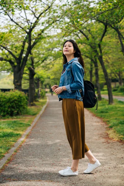 全长欢快的旅客站在小道上仰望天空 优雅的女人在夏天欣赏绿色公园的美丽 亚洲女孩旅游旅游在大阪生活方式的概念 — 图库照片