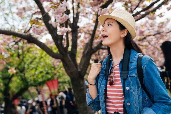 女人的旅行者兴奋地期待着粉红色美丽的樱花在早午餐 年轻的女士旅行者张开嘴感到惊讶享受在大阪薄荷樱花树的美丽 — 图库照片
