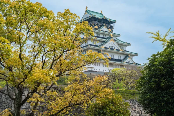 Rauhallinen Osakan Linna Osakassa Japanissa Kesällä Vihreä Puu Puistossa Palatsin — kuvapankkivalokuva