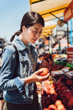 Markete alışveriş hafta sonu çiftçi piyasasında küçük yerel Asya hanım. güzel exchange öğrenci çalışma yurtdışında malzeme çekme apple açık satıcı. Kız holding meyve güneşli günde satın alma seçimi.