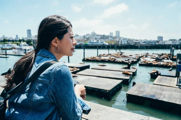 Young Asian Girl Backpacker Seeing Cute Animal Sea Lions Resting — Stock Photo, Image