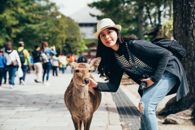 güzel kadın fotoğrafçı taş yolda sevimli geyik Nara Parkı dokunmadan kamera tutarak. Eve serbestçe zika Japonya'da gezici. kız gezgin oynamak portre güneşli günde alarak memeli ile.