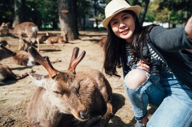 Hasır şapka geyik nara Parkı Japonya'da uyku ile selfie alarak genç aisan kadın. Vahşi sika bir doğal anıt kabul edilir. kız seyahat yapmak kendi kendine portre fotoğraf turizm yaz aylarında jp.