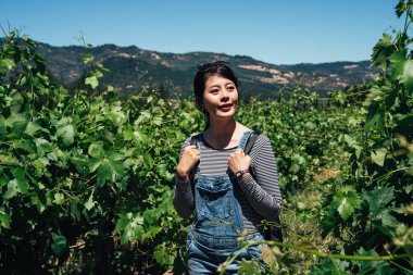 Genç bayan üniversite öğrencisi Tulum içinde güneşli yaz tatili içinde bağ ziyaret. Kız Grapevine içinde ayakta. Napa Vadisi üzüm şarap san francisco ABD.