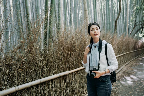 Kadın Fotoğrafçı Bir Ormanda Bazı Fotoğraf Çekmek Hazırlanıyor Genç Kız — Stok fotoğraf