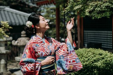 geleneksel Japon din elbiseli yerel kız güneş bahçe kiyomizu dera Tapınağı kyoto Japonya'nın tadını çıkarın. Asyalı bayanın kimono el sonbaharda akçaağaç yaprakları park dokunmadan.