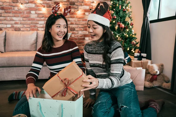 Systrarna Sätta Förpackade Presentask Varukorg För Julafton Unga Kvinnliga Vänner — Stockfoto