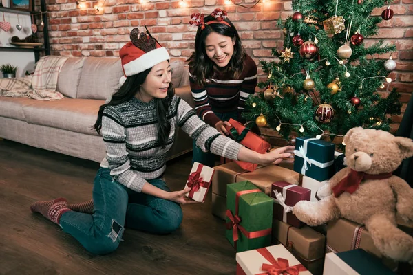 Deux Des Jeunes Amies Côté Arbre Noël Mettre Des Cadeaux — Photo