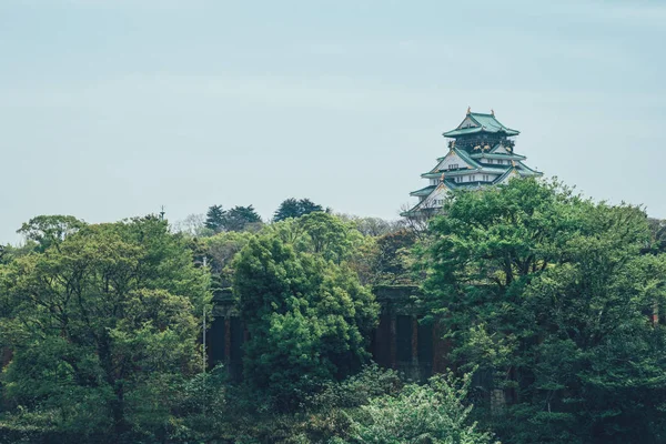 Kaukana näkymä Osakan linna Japanissa — kuvapankkivalokuva