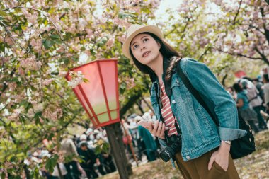 Sakura ile bahar parkında kadın Backpacker