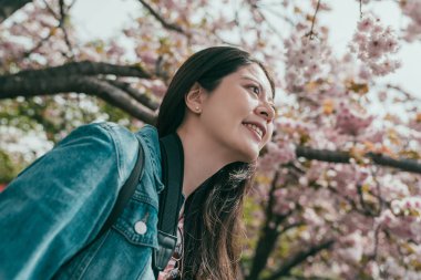Osaka Japonya 'da kadın gezi kiraz çiçeği.