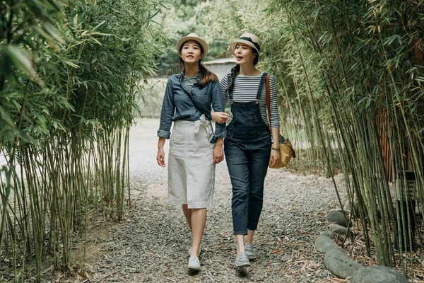Viajante caminhar juntos braço a braço em Bamboo Grove — Fotografia de Stock