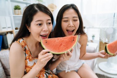 birlikte bir karpuz paylaşan mutlu arkadaşlar