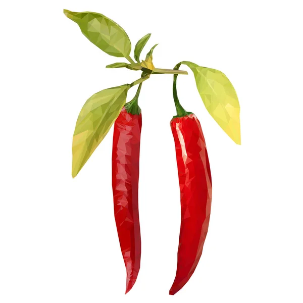 Red hot chili peper pod realistisch beeld vectorillustratie — Stockvector