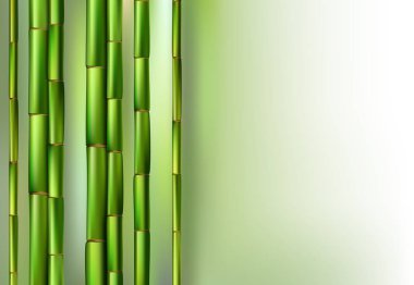 Yeşil Bambu mayo gerçekçi vektör çizim arka plan