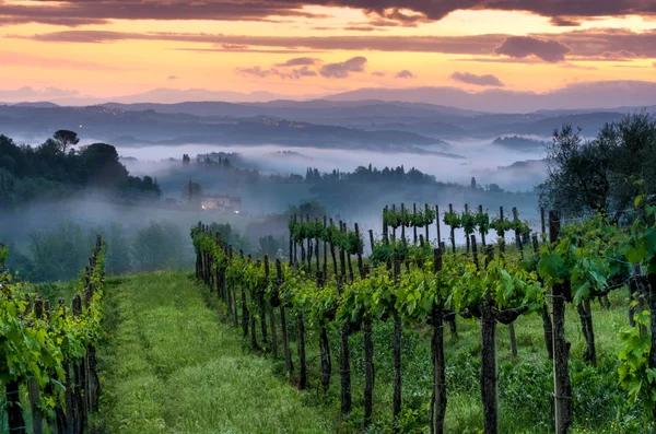 トスカーナ州、イタリアの畑の風景です。霧日の出 — ストック写真