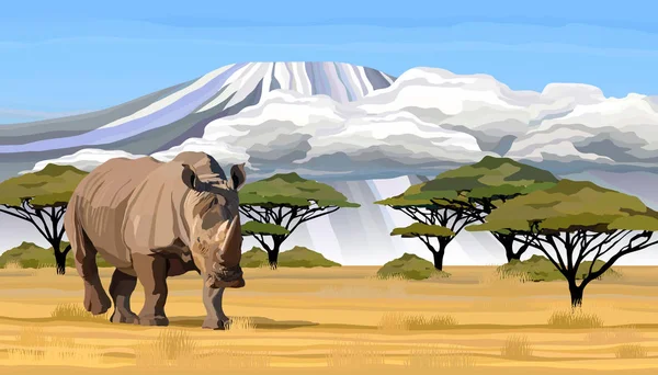 Seekor badak Afrika besar berjalan di savana dalam ilustrasi vektor Afrika - Stok Vektor