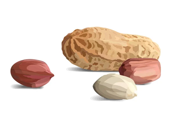Amendoins em estilo realista, lanche orgânico close up ilustração vetorial — Vetor de Stock