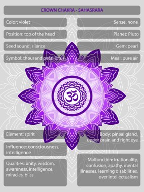 Çakralar, anlamlar bilgisinin tanımlandığı sembollerdir