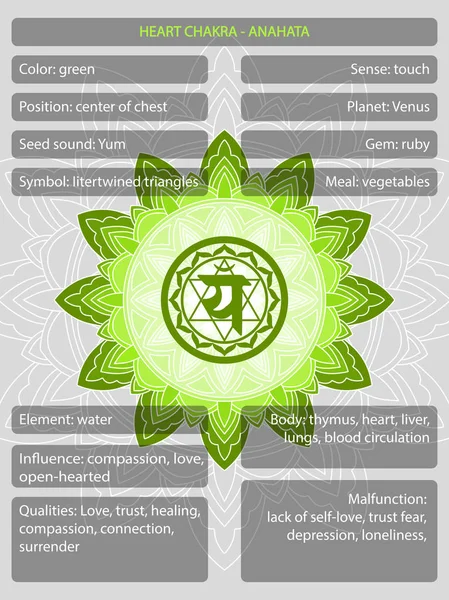 Chakras symbols with description of meanings infographic — Stock Vector