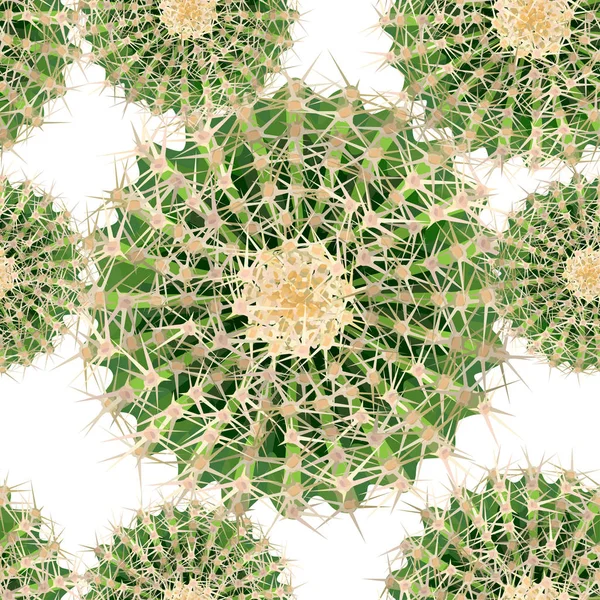 Ilustración vectorial realista de cactus houseplant vista superior — Vector de stock
