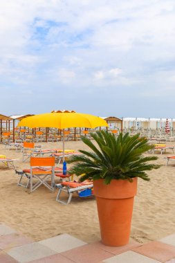 Boş beach, İtalya, Riccione