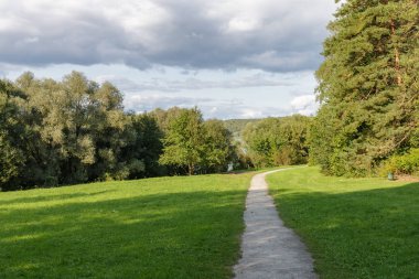 Ormanın kenarındaki yol, Rusya, Polenovo