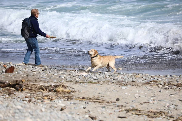 Menton Francia Marzo 2018 Man Beach Throwing Stick Dog Grandes — Foto de Stock