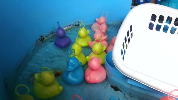Rubber Duck Fishing Game Many Colorful Ducks Close View Resolution — Stock Video