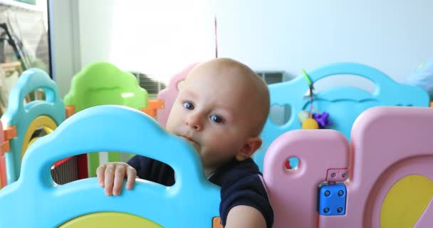Cute Young Baby Boy Standing Colorful Playpen Close View Portrait — Stock Video