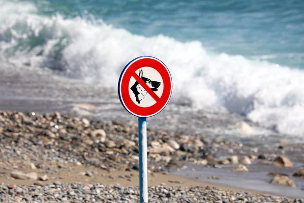 Honden Verboden Teken Strand Met Golven Van Middellandse Zee Achtergrond — Stockfoto