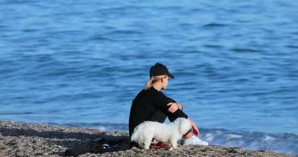 法国门顿 2018年12月4日 美丽的年轻金发碧眼的女人与两个威斯汀狗在海滩上 地中海上的法国里维埃拉 Dci — 图库视频影像