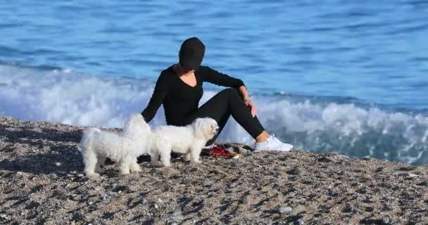 Menton Francia Diciembre 2018 Hermosa Joven Rubia Con Dos Perros — Vídeos de Stock